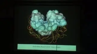 Extremophiles and protein surface grafting