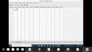 what is PSPP for data analysis