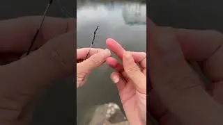 The ultimate ultra-portable creek fishing rod! #microfishing #fishing #microfish