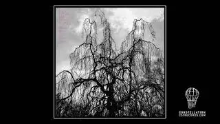 Colin Stetson and Sarah Neufeld | 