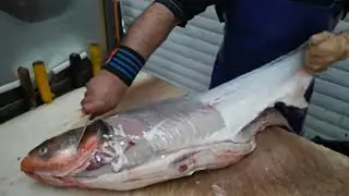 Busa tiszt&iacute;t&aacute;sa ny&uacute;z&aacute;sa konyhak&eacute;szre egyszerűen - Cleaning and skinning the busa, ready for cooking