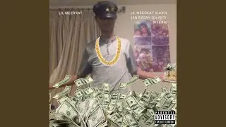 Lil Meerkat Sucks (An Essay on Anti Weebs)