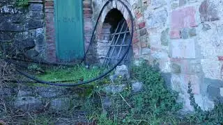 The Panico