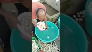 Sorting out damage mushroom🍄