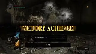 Magic Only? Asylum Demon First Try (Linux Gaming) - Dark Souls Remastered | একটুখানি গেমিং