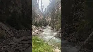 Haunted - Taylor Swift #nature #alberta #speaknowtv #haunted #pianomusic