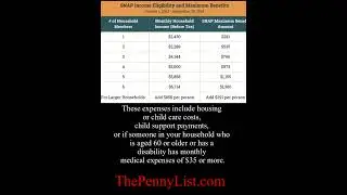 New Food Stamp/ SNAP Guidelines