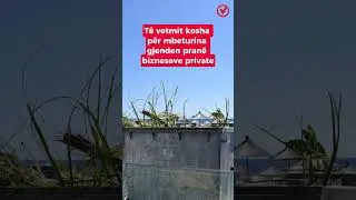 N&euml; Livadh edhe koshat e plehrave jan&euml; private #livadh #shqiperi #albania #plehra #faktoje