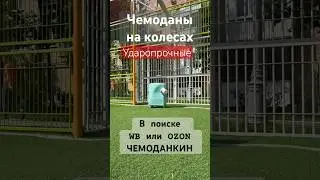 Чемоданы на колесах ударопрочные , комфортное путешествие #wildberries #ozon #чемоданкин