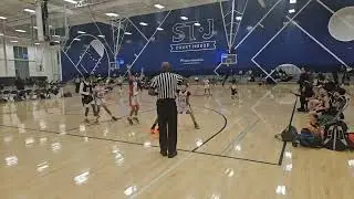 11U Gold vs. NOVA 94-1
