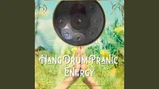 Hang Drum Beats
