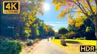 4K HDR Japan Walk - Shurakuen Park 2024 | Relaxing Natural City Ambience