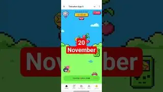 20 November Tomarket daily combo telegram bot #crypto #games #gaming #smartphone