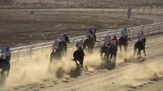 الشوط الاول الحفل السادس دعم سباقات نادي الفروسية بالرياض بمنطقة الجوف موسم 1441هـ(المنجور)