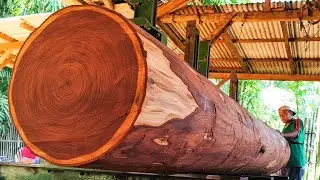 Sawing a 13-foot long mahogany wood with a luxurious texture 