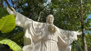 Santa misa 12:00 Hr. Miércoles 4 de febrero 2026