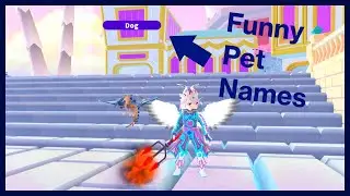 World // Zero - Funny pet names!