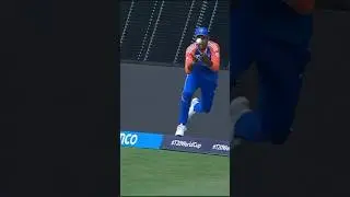what A catch  Surya kumar Yadab T20WorldCup24 #T20WorldCup24 #
