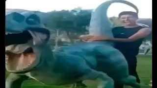 shitpostatus and memes compilations v109
