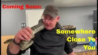 Coming Soon: Blue Dog Aquatics Store Front (Part 2)