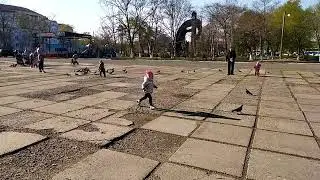3 мая 2024 г.