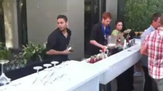 Flair bartending at VIP cocktail event | Liquid Infusion