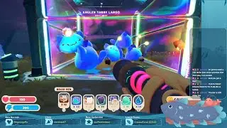 Adorable Slimes on a Friday Evening - FiveEyesStreams