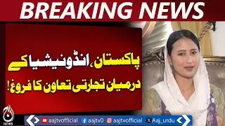 Pakistan Indonesia Trade Deal | Joint Trade Committee JTC Formed | Economic Cooperation - Aaj News