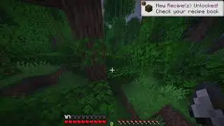 Minecraft But One person is Blind Deaf and Mute.