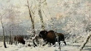 Frost Waltz  ~  Kevin MacLeod