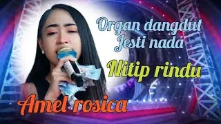 NITIP RINDU // AMEL ROSICA // ORGAN DANGDUT JESTI NADA LIVE DADAP BLOK PULOBI JUNTINYUAT INDRAMAYU 