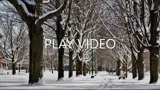 Malone New York Winter