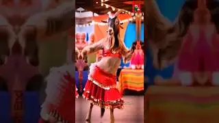 All Animals Dancing Cute 🥰🐶💃 | Viral Dance Animal Funny #shorts #ytshorts #trending #viral #dance