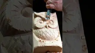 From Lifeless Wood to a Wise Owl