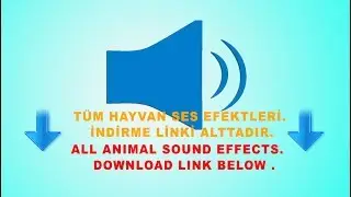 White Storks Clicking / Leylek sesi Kuş sesi / All animal sound effeckt download link below