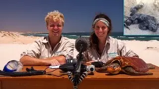 Welcome to the Office - Conservation questions - GTCP 2015/16