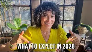 2026 Tarot Predictions: Your Month-By-Month Guide to the Year Ahead (Timestamped for Easy Reference)