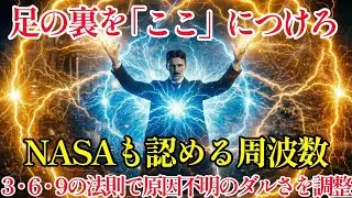 【二コラ・テスラ】足の裏を「ここ」につけろ。天才テスラが遺した「3・6・9」の法則と地球のエネルギー充電法。NASAも認める周波数で、ドロドロ血液が一瞬で⁉   |偉人|名言| 周波数 |宇宙の法則