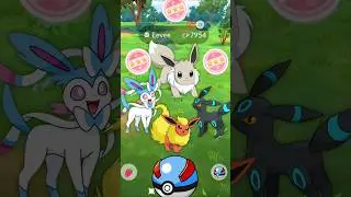 WOW! Finally I Got 💯 Hundo Eevee in #pokemongo | #shorts #eevee #hundo #shiny #rare #gaming #evolve