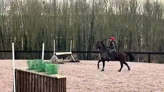 Roxy and Alfie xc training. 