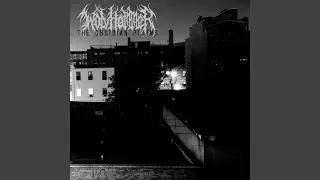 Shadowhorn