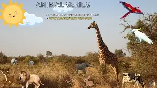 Animal Series for Kids | Learn Animal Names in English | Vocabulary with Tamashree & Sreyanshi