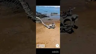 😱OMG!!😨Snake skeleton found on google map