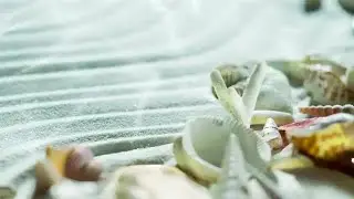 Seashells On White Sand Stock Video