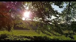 Relaxation Time out in the Nature
