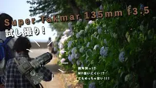 スーパータクマー135mmf3.5を試し撮り！！紫陽花を撮ってきた！