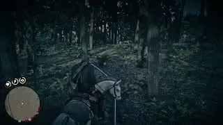 RDR2 - Nate chases Arthur into the panthers habitat!!!