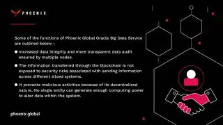 How Phoenix Global Aims to Have a Diverse Oracle Big Data Service