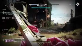 Curated Sole Survivor....