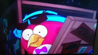 My reaction that The Angry Birds Movie 4 has not confirmed a release date